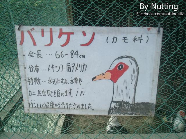 DSC04028.JPG